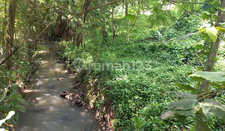 Tanah Walking Distance Ke Pantai Kedungu 250 Meter Sebelah Sungai Kecil