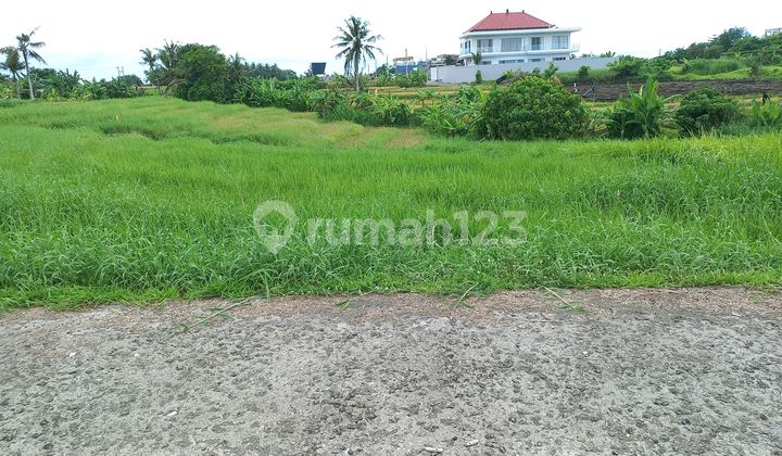 Ideal Land for Villa Walking Distance to Kedungu Beach Ideal Land for Villa Walking Distance to Kedungu Beach