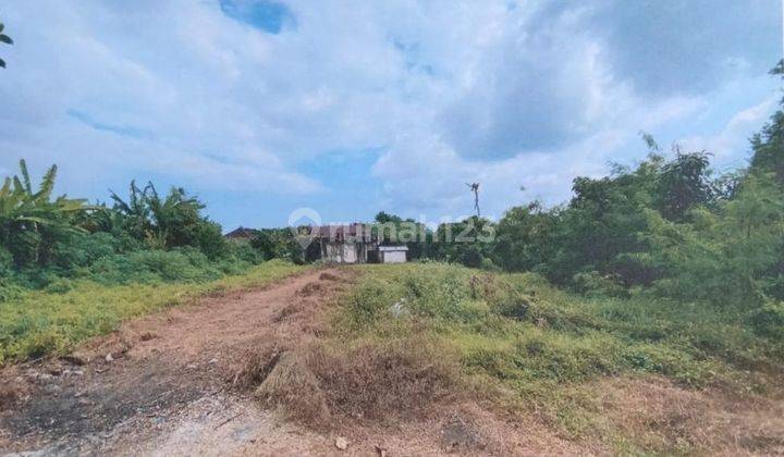 Dijual Tanah Zona Kuning  Cocok Untuk Villa Residential Dekat Canggu  2