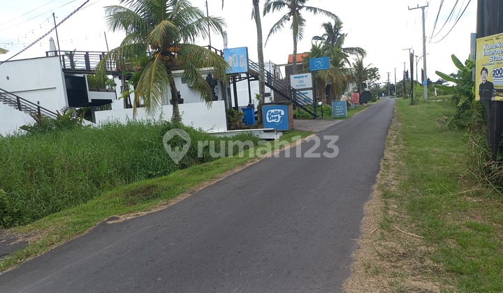 Tanah Mungil Jalan Kaki Ke Pantai Kedungu Tanah Mungil Jalan Kaki Ke Pantai Kedungu