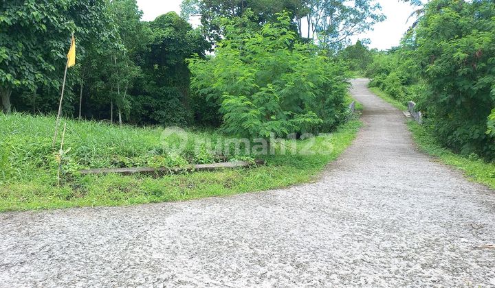 Tanah Dengan Walking Distance Ke Pantai Kedungu