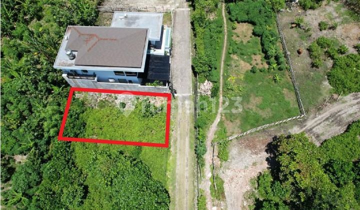 Tanah Kecil dengan Dimensi Istimewa dekat Seminyak Tanah Kecil dengan Dimensi Istimewa dekat Seminyak