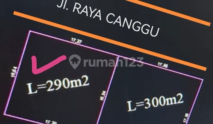 Main Road Canggu! Rarely Available! Small Plot Canggu Raya Main Road Canggu! Rarely Available! Small Plot Canggu Raya