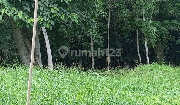 Tanah Dengan Walking Distance Ke Pantai Kedungu