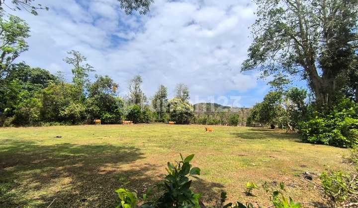 Tanah Ideal Untuk Villa Komplek Di Pantai Balangan Tanah Ideal Untuk Villa Komplek Di Pantai Balangan