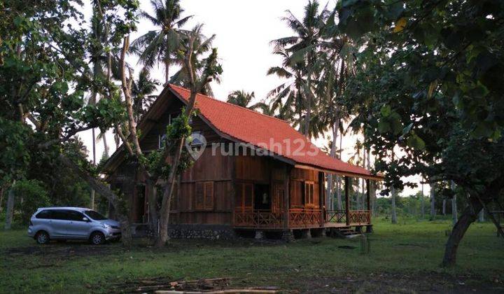 Tanah kosong dekat Pantai Perancak Jembrana ITR Pariwisata 2