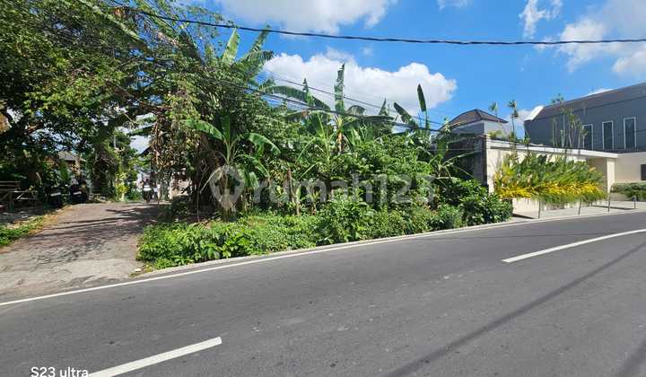 Tanah Komersial Kecil Langka Di Tiying Tutul Canggu Tanah Komersial Kecil Langka Di Tiying Tutul Canggu