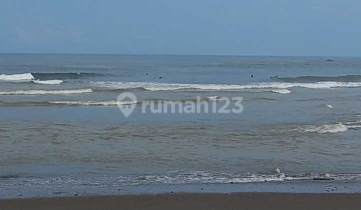Tanah di Pantai Balian Lalanglinggah Surfing Beach View Sungai Balian dengan mountain view, river view dan ocean view at the same time