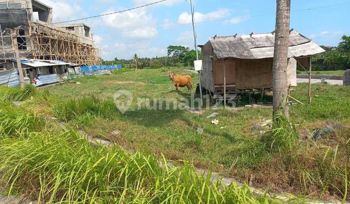 Ideal Land Size Near Kedungu Beach