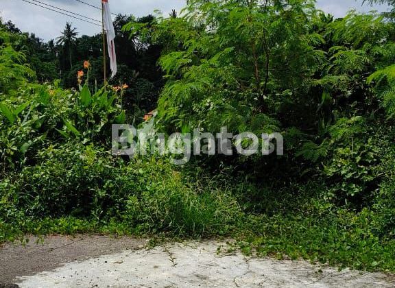 Tanah Premium di Ubud Sebelah Hotel Ibah Tanah Premium di Ubud Sebelah Hotel Ibah