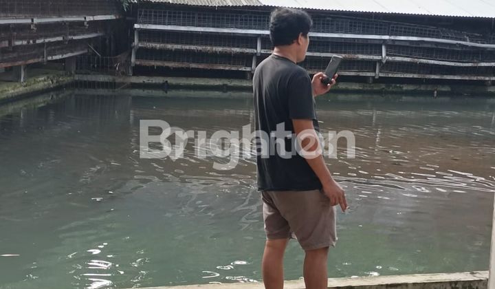 RUMAH KOMPLIT DENGAN EMPANG IKAN , KANDANG AYAM. ******** DI SAMPING ******** BOGOR 2