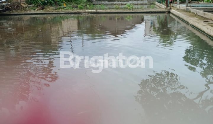 RUMAH KOMPLIT DENGAN EMPANG IKAN , KANDANG AYAM. ******** DI SAMPING ******** BOGOR