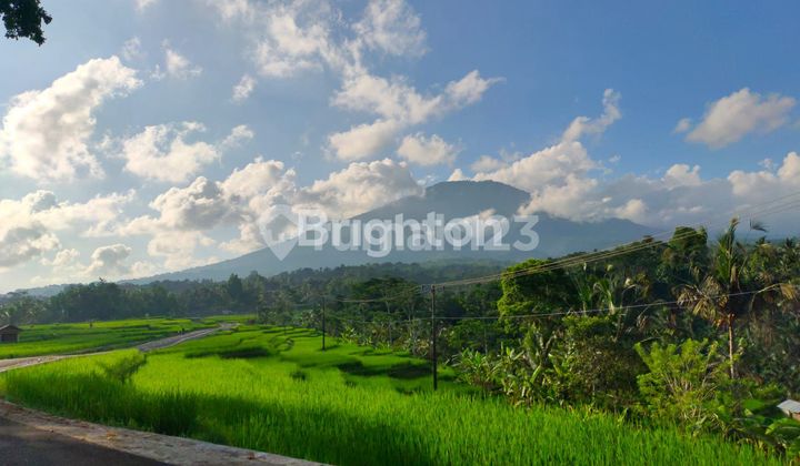 Tanah cantik Wong Aya Gede Tabanan Bali..1200 dan 600 m2 Tanah cantik Wong Aya Gede Tabanan Bali..1200 dan 600 m2
