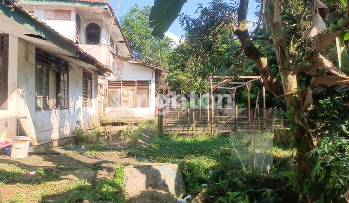 TANAH  GRATIS RUMAH TUA  DI BOGOR
