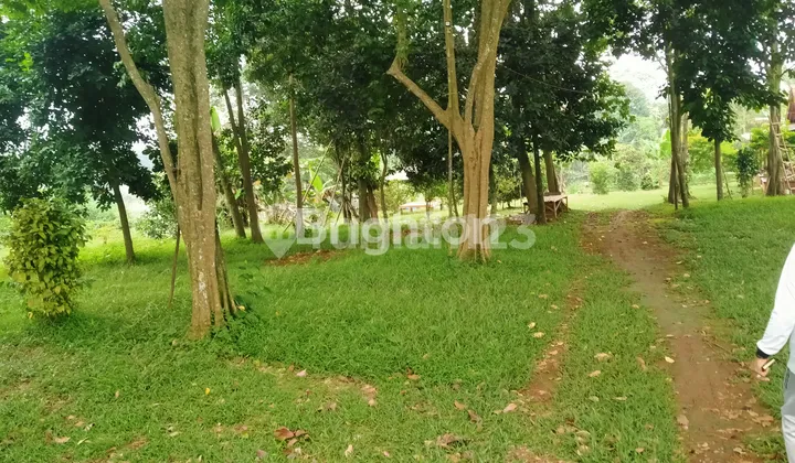 Tanah Kebon di Gunung Sindur 9500 Meterpersegi Harga 2 Juta Per Meter Persegi Tanah Kebon di Gunung Sindur 9500 Meterpersegi Harga 2 Juta Per Meter Persegi
