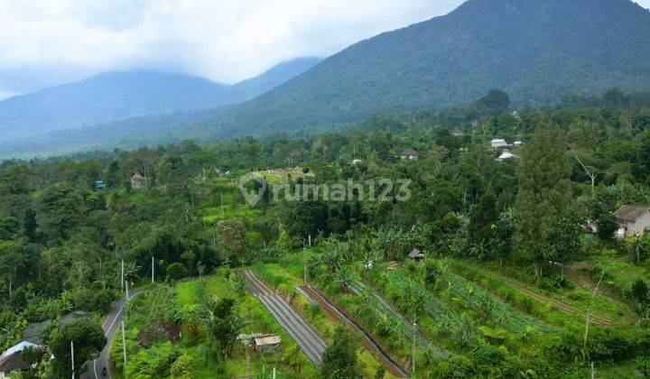 Tanah SHM strategis di Tabanan 2