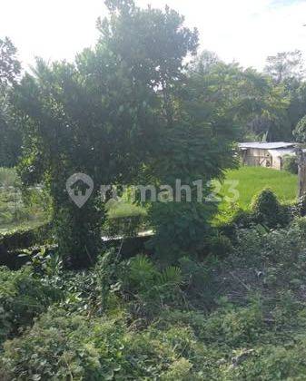 Dijual Tanah Murah View Sawah Lokasi Bantas, Dekat Tumbak Bayuh 2