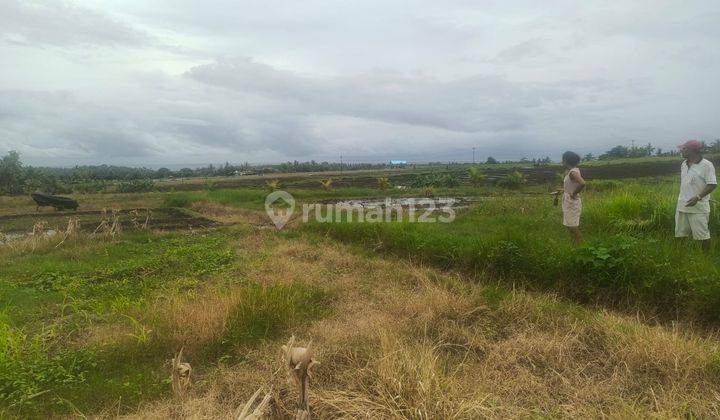 Tanah Super Murah View laut dan gunung di Pantai Klecung Tabanan 1