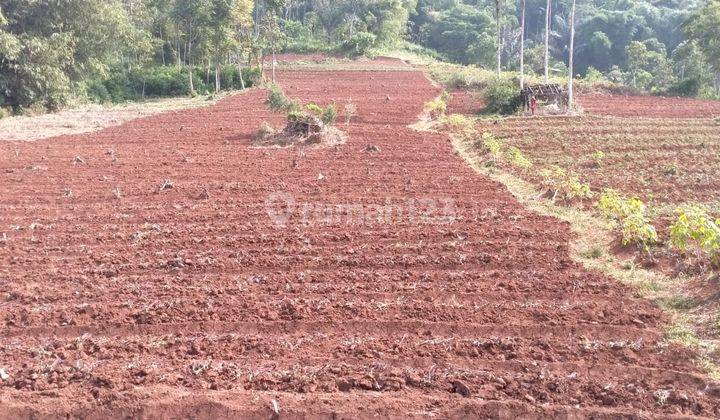 Dijual Cepat Tanah Luas 10887 m2 di Jatinangor, Harga Terbaik 2
