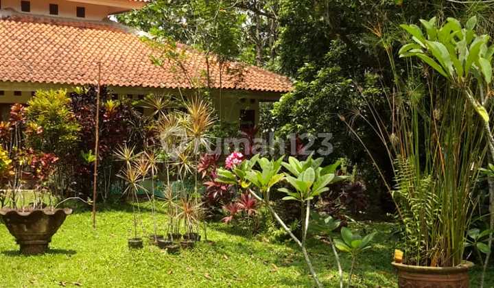 Dijual Tanah Luas 13794