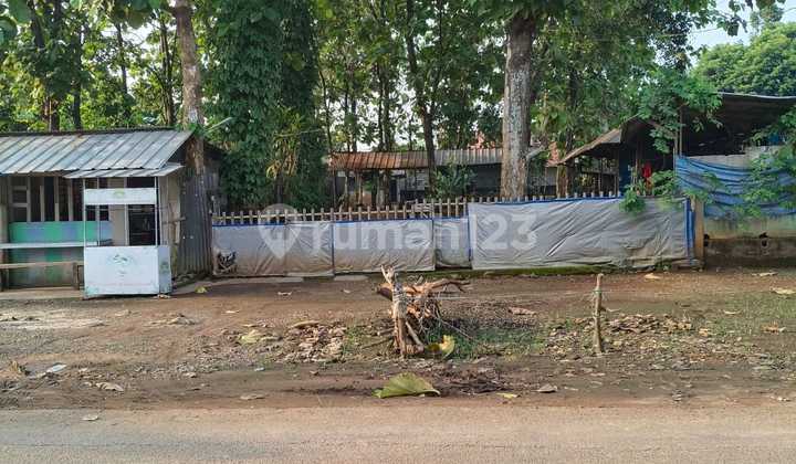 Dijual Tanah Di Pinggir Jalan Cikeas 