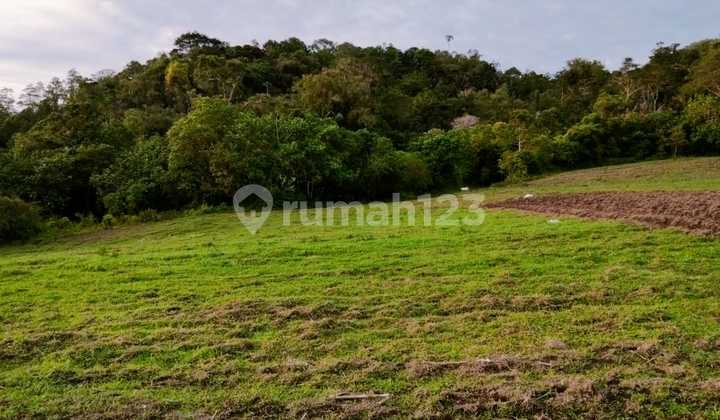 Tanah 1H di Area Wisata Rurukan Tomohon Pas Buat Villa Pejabat