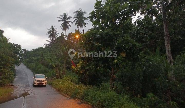 Tanah 1hektar dekat ring road 1 cocok gudang distributor cargo 2