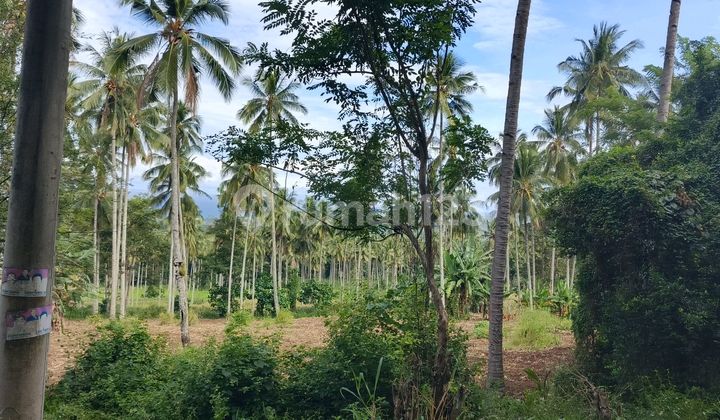 Tanah 1000~4000m2 Di Jl Konsolidasi Dekat Bandara Dan Indogrosir Tanah 1000~4000m2 Di Jl Konsolidasi Dekat Bandara Dan Indogrosir