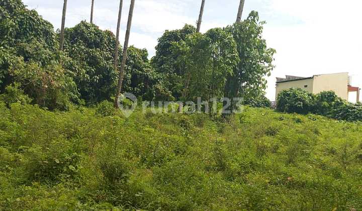 Tanah 3 H Di Griya Paniki Indah Cocok Buat Investasi Dan Kantor Tanah 3 H Di Griya Paniki Indah Cocok Buat Investasi Dan Kantor