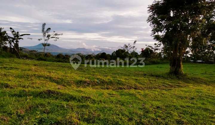 Tanah 1H di Area Wisata Rurukan Tomohon Cocok Buat Villa Pejabat Tanah 1H di Area Wisata Rurukan Tomohon Cocok Buat Villa Pejabat