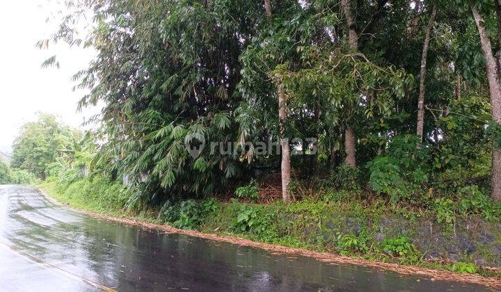 Tanah 1000m2 Di Pinggir Jl Raya Manado Wori Dekat Spn Pandu 1