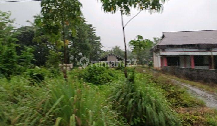 Tanah 1000m2 Di Dekat Puskemas Wori Cocok Buat Usaha Indomaret 1