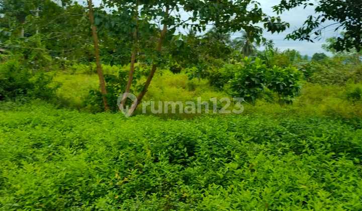 25 Hectares of Land on Ring Road 3 with Beach View Suitable for Real Estate