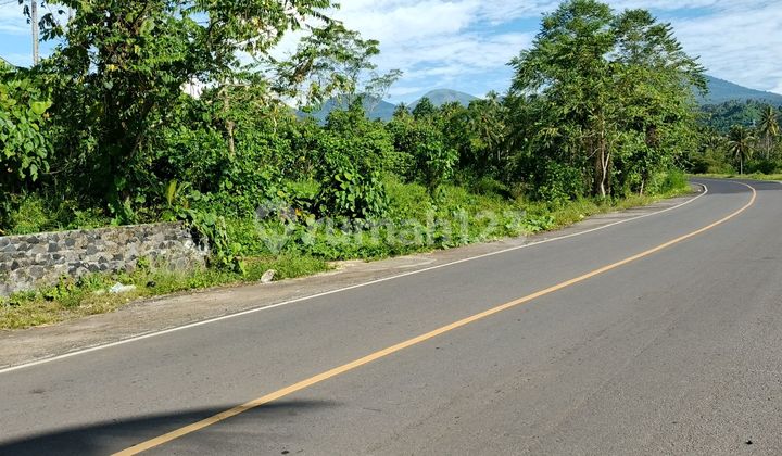 Tanah2~10h Ring Road 3 Malalayang Pas Buat Real Estete Invest