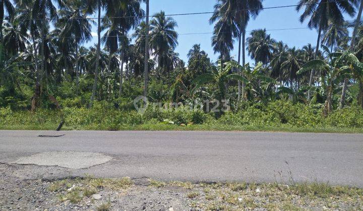 Tanah 2h Di Kema Cocok Buat Industri Dan Gudang  1