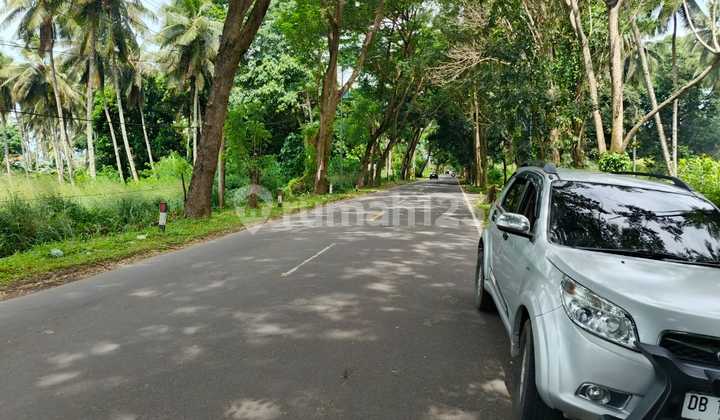 Tanah 5~10 H Di Jl Raya Manado Bitung Watudambo Pas Buat Gudang Tanah 5~10 H Di Jl Raya Manado Bitung Watudambo Pas Buat Gudang