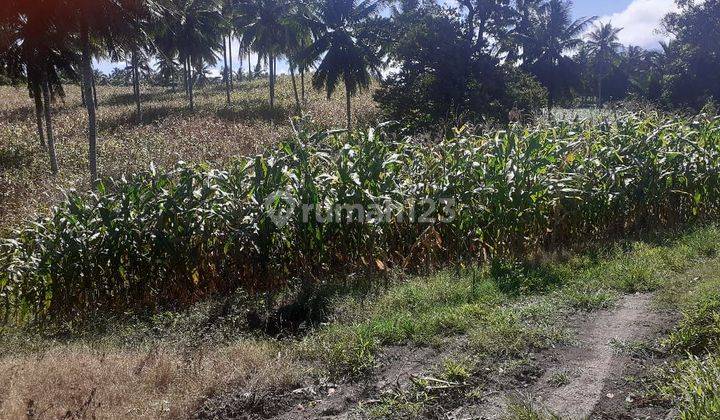 Tanah 3,5 H  Di Belakang Pabrik Coca Cola Kauditan Pas For Pabrik 2