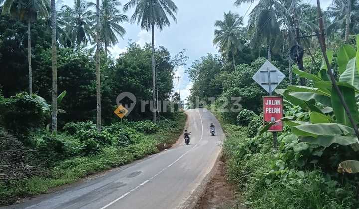 Land 5 H in Front of Stikes Pandu Campus, Suitable for Warehouse or Office.