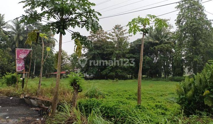 Tanah 1000m2 Di Dekat Puskemas Wori Cocok Buat Usaha Indomaret 2