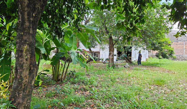 Tanah Kosong siap di bangun untuk kantor sekolah supermarket  kuliner 1