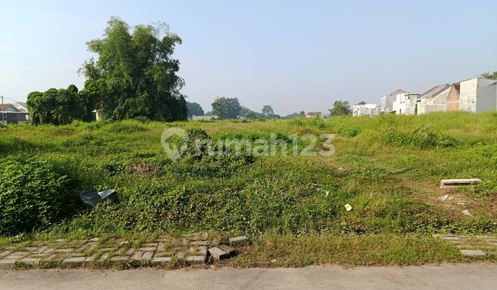 Sell Mojokerto City Land Strategic Location Sell Mojokerto City Land Strategic Location