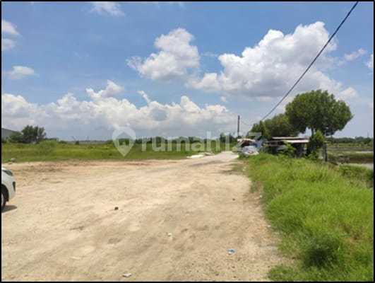 1014.31s Jual Tanah Gresik Di Manyar Di Raya Daendels