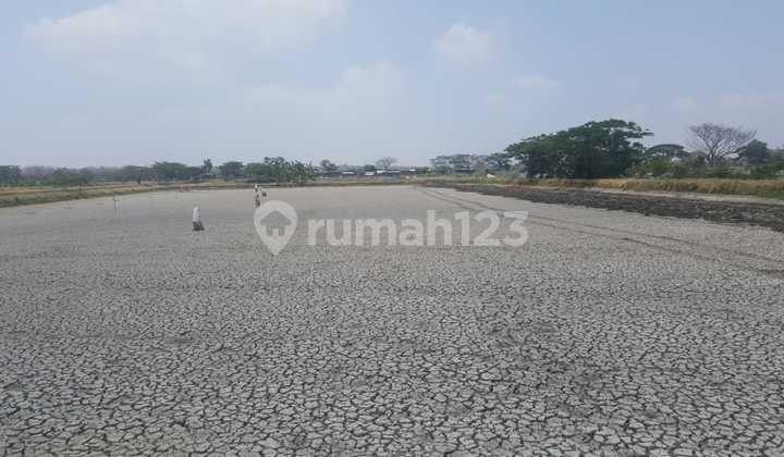 1113.42 Land for Sale in Gresik, Bungah Area, Tanah Raya Daendels