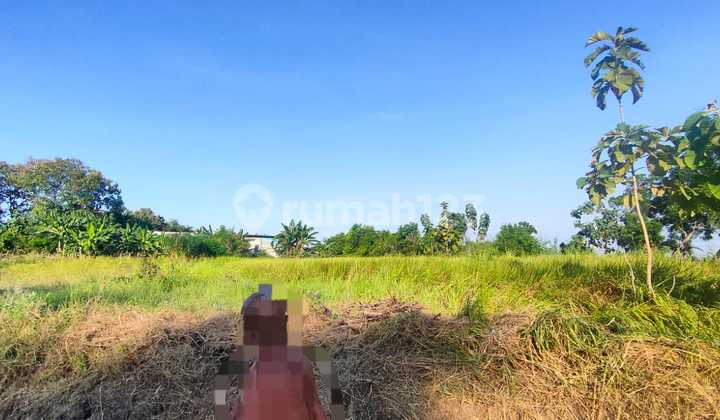 0212.84S Jual Tanah Lelang Gresik di Kedamean di Desa Sidoraharjo 0212.84S Jual Tanah Lelang Gresik di Kedamean di Desa Sidoraharjo