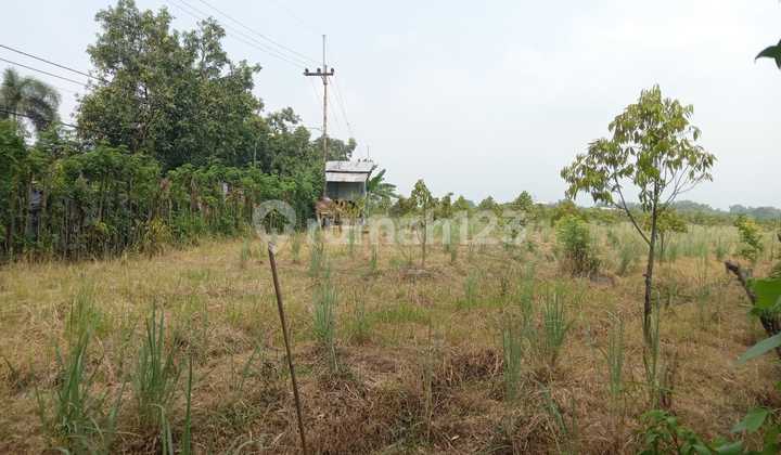 0304.22 Land for Sale Auction in Mojokerto, Dlanggu, at Kolam Gus Nur 0304.22 Land for Sale Auction in Mojokerto, Dlanggu, at Kolam Gus Nur