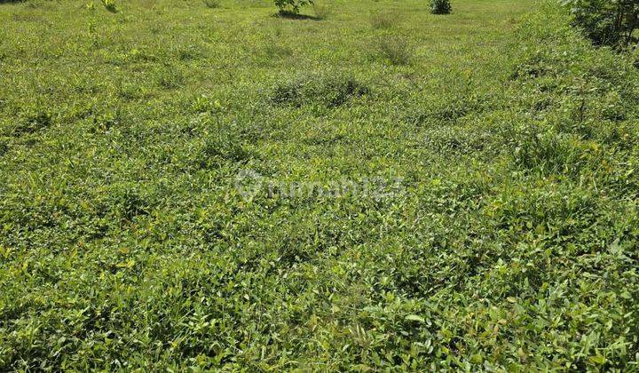 0508.14 Jual Tanah Malang Di Bululawang Di Tanah Suropati  2