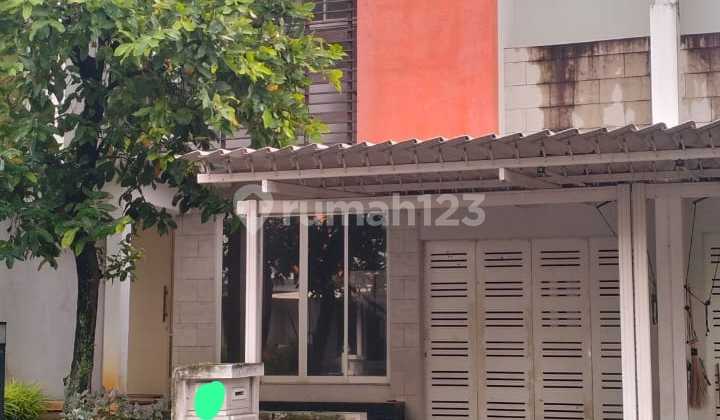 Disewakan Rumah Siap Huni Dan Siap Pakai Di Gading Serpong Disewakan Rumah Siap Huni Dan Siap Pakai Di Gading Serpong