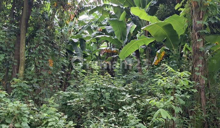 Dijual Tanah Jadi Pinggir Jalan Raya Lokasi Sangat Strategis Di ********