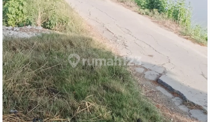 Dijual Lahan 5 Hektar Dalam Satu Tempat Di Karawang Barat