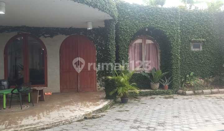 DIJUAL RUMAH MEWAH ADA KOLAM RENANG LOKASI DEMANG LEBAR DAUN DIJUAL RUMAH MEWAH ADA KOLAM RENANG LOKASI DEMANG LEBAR DAUN